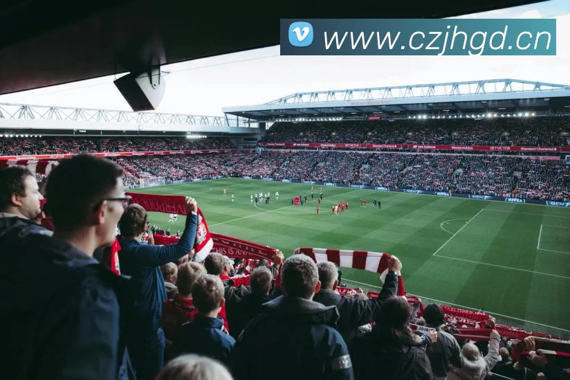 熊猫体育在线登录入口发展历程